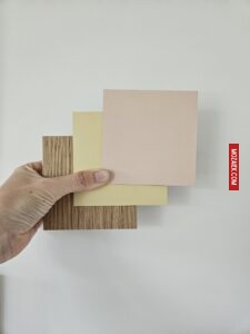 Samples Baboon
